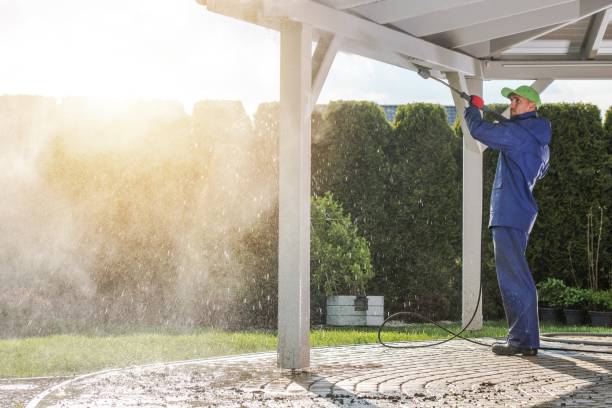 Best Driveway Cleaning and Restoration in Charles City, IA
