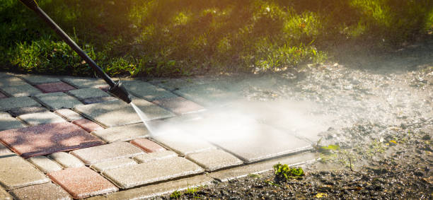 Best Roof Cleaning and Mildew Removal in Charles City, IA